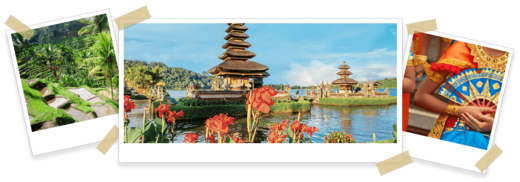 BALI_x3.png