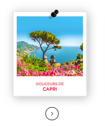 capri-polaroid.png