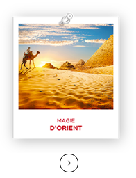 d-orient-polaroid.png