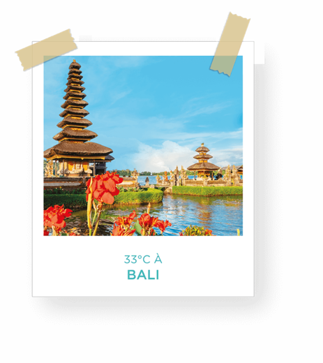 DESTINATION-BALI_mi.png