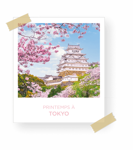 DESTINATION-TOKYO_mi.png