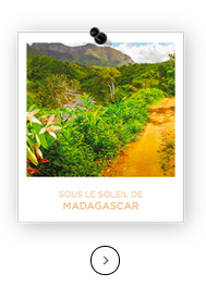 madagas-polaroid.png